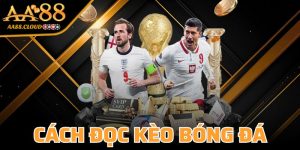 Cách Đọc Kèo Bóng Đá
