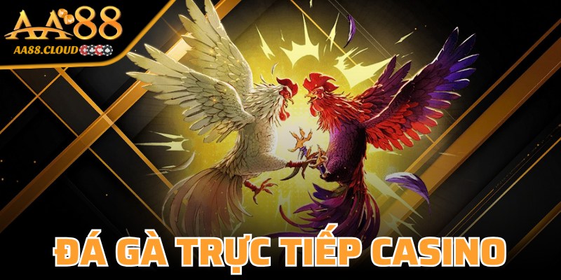 Đá Gà Trực Tiếp Casino
