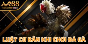 Luật Cơ Bản Khi Chơi Đá Gà