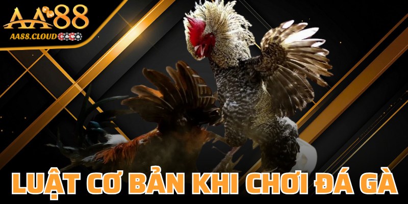 Luật Cơ Bản Khi Chơi Đá Gà